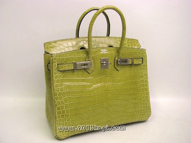 エルメス バーキン25クロコダイルポロサス/アニス（金具：シルバー） 2104100388445